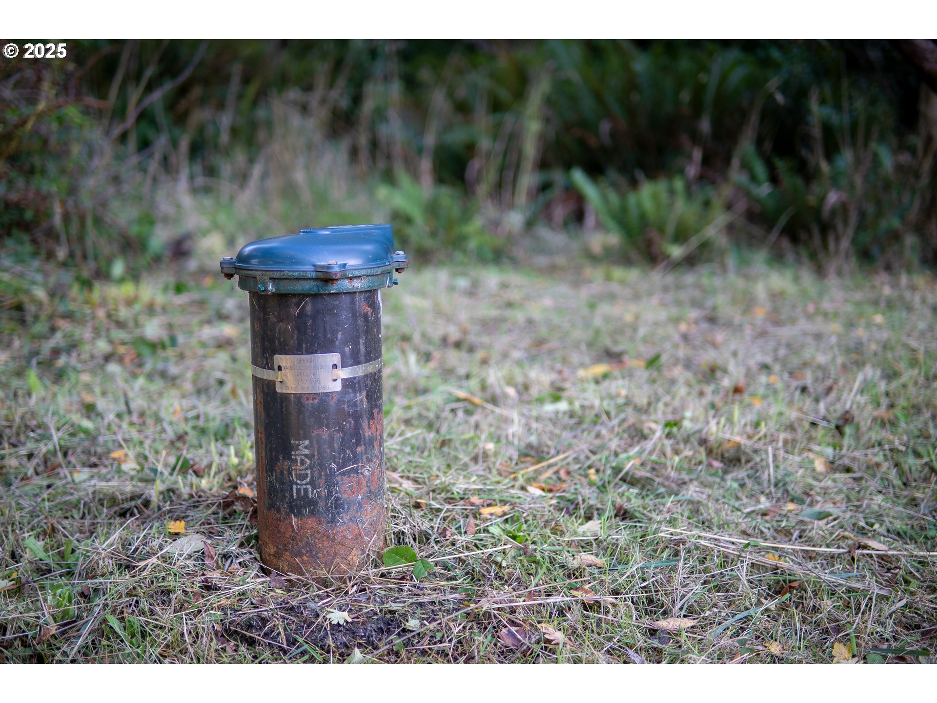 Washington Street Port Orford, OR 97465 - Photo 9 of 16 a view of a fireplace with a tree