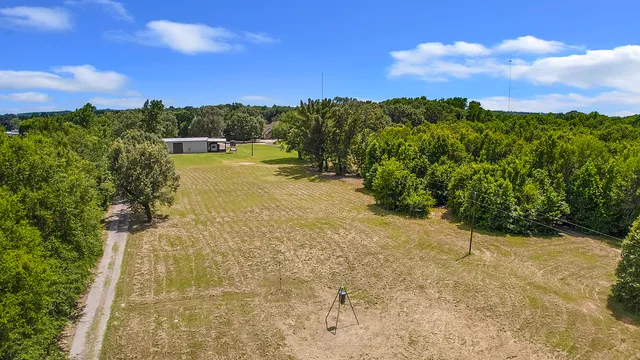 a view of a yard with plants