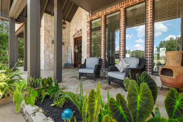 a living room filled with furniture and a potted plant