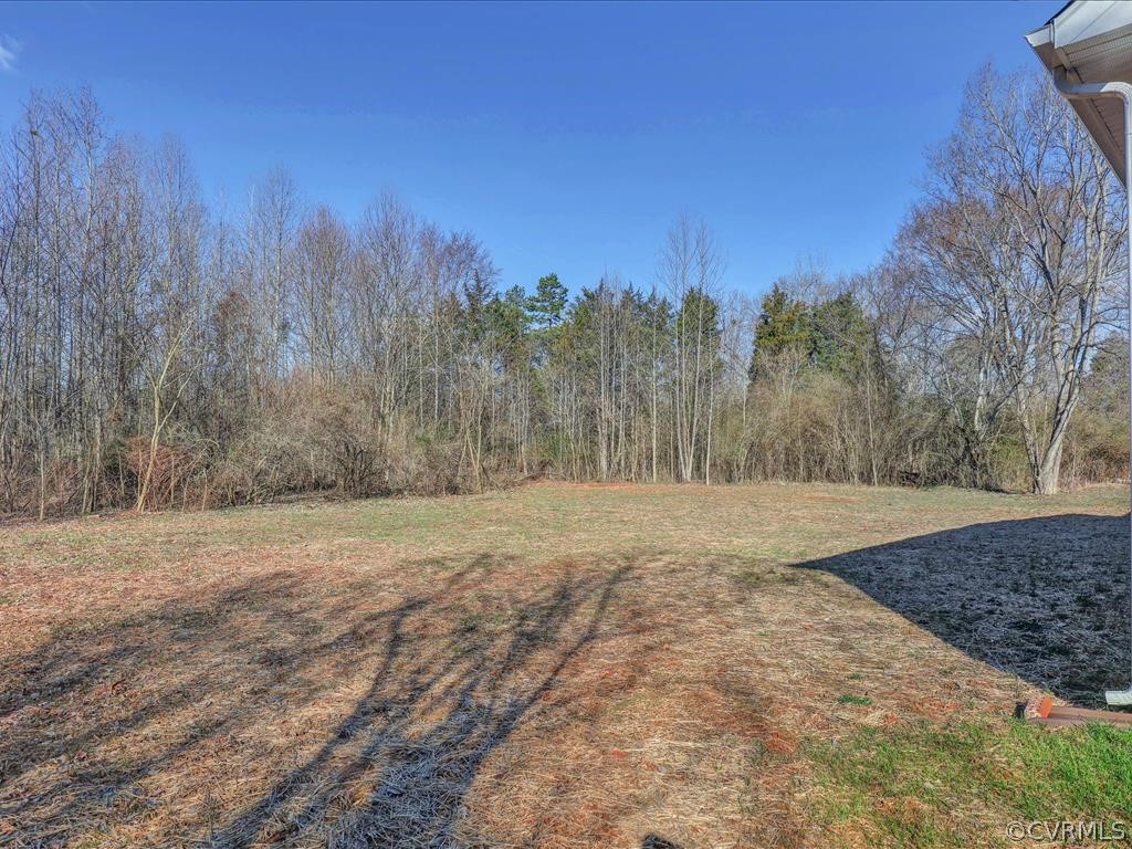 4761 Bell Road Powhatan, VA 23139 - Photo 25 of 25 Backyard view