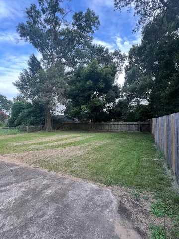a view of a yard with grass and a tree