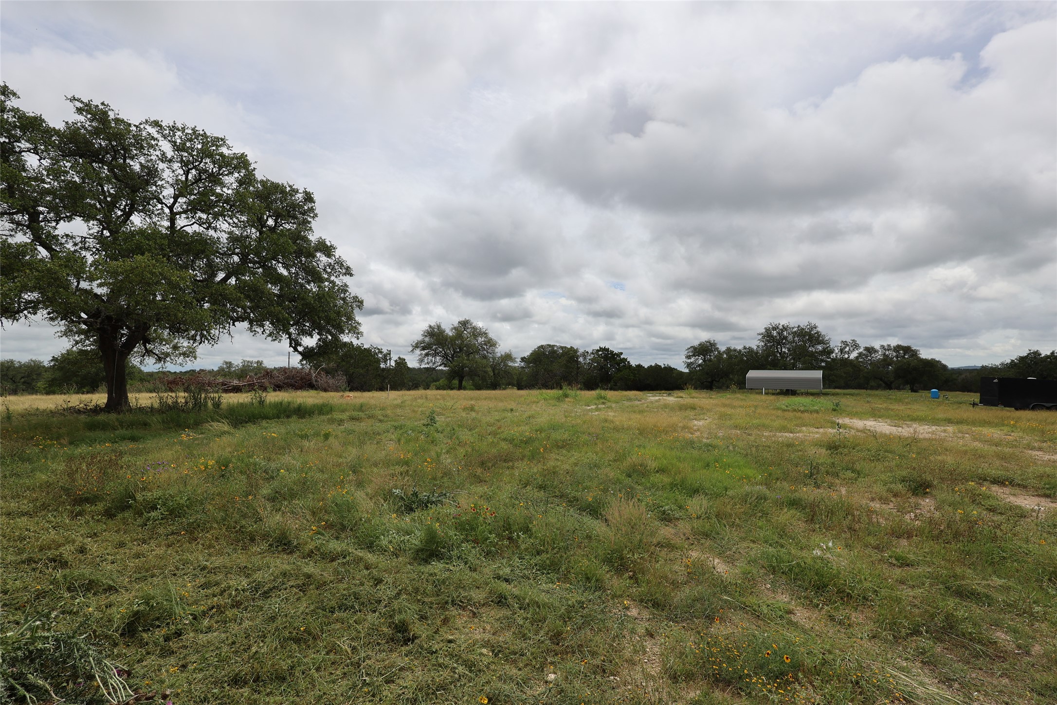 1399 Klett Ranch Road Johnson City, TX 78636 - Photo 10 of 23 a view of a field with large trees