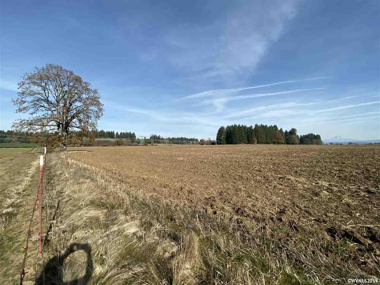 South Arthur (lot 903) Road Oregon City, OR 97045 - Photo 4 of 6
