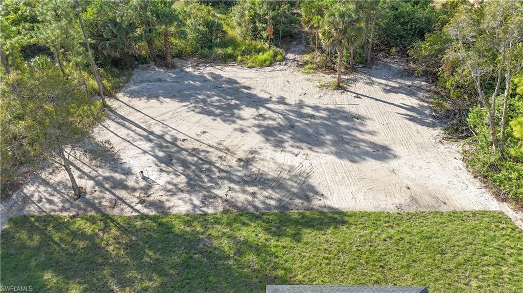 809 Williams Avenue Lehigh Acres, FL 33972 - Photo 27 of 33 a view of a yard with plants and large trees