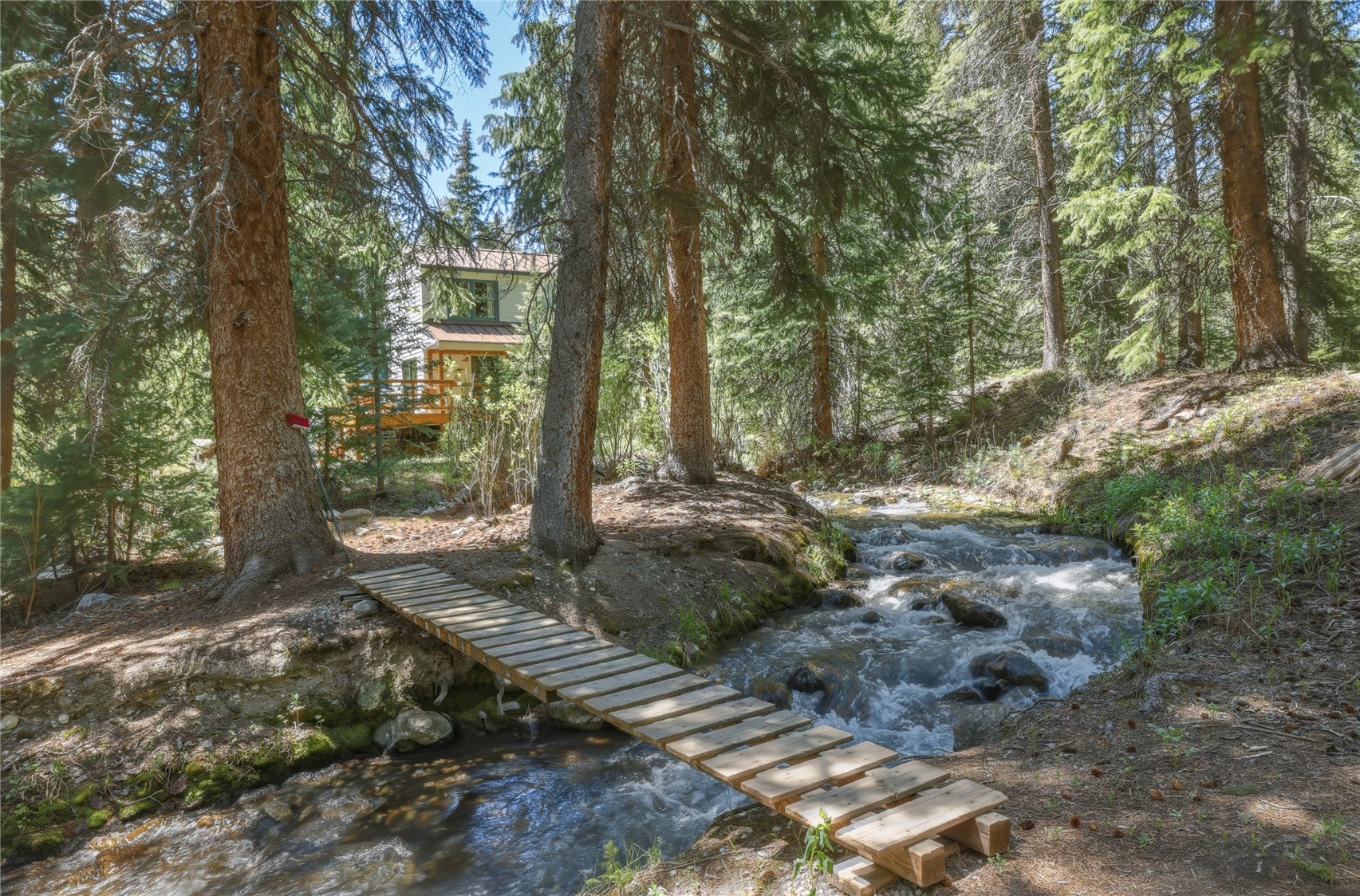 57 Rock Springs Road Breckenridge, CO 80424 - Photo 2 of 15