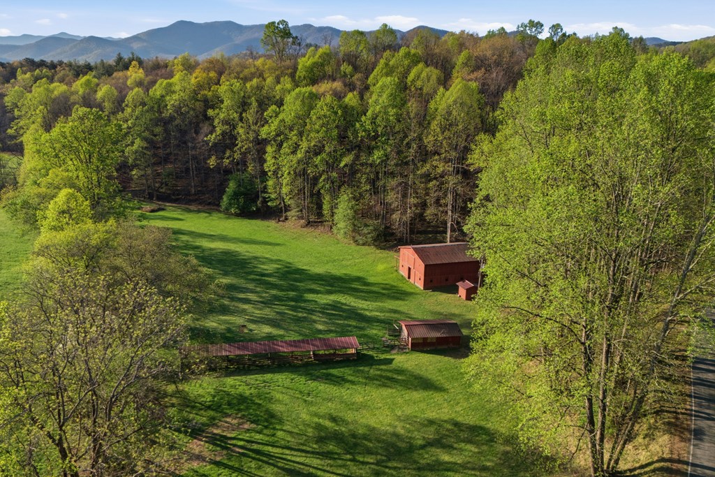 853 Caler Road Brasstown, NC 28902 - Photo 102 of 122