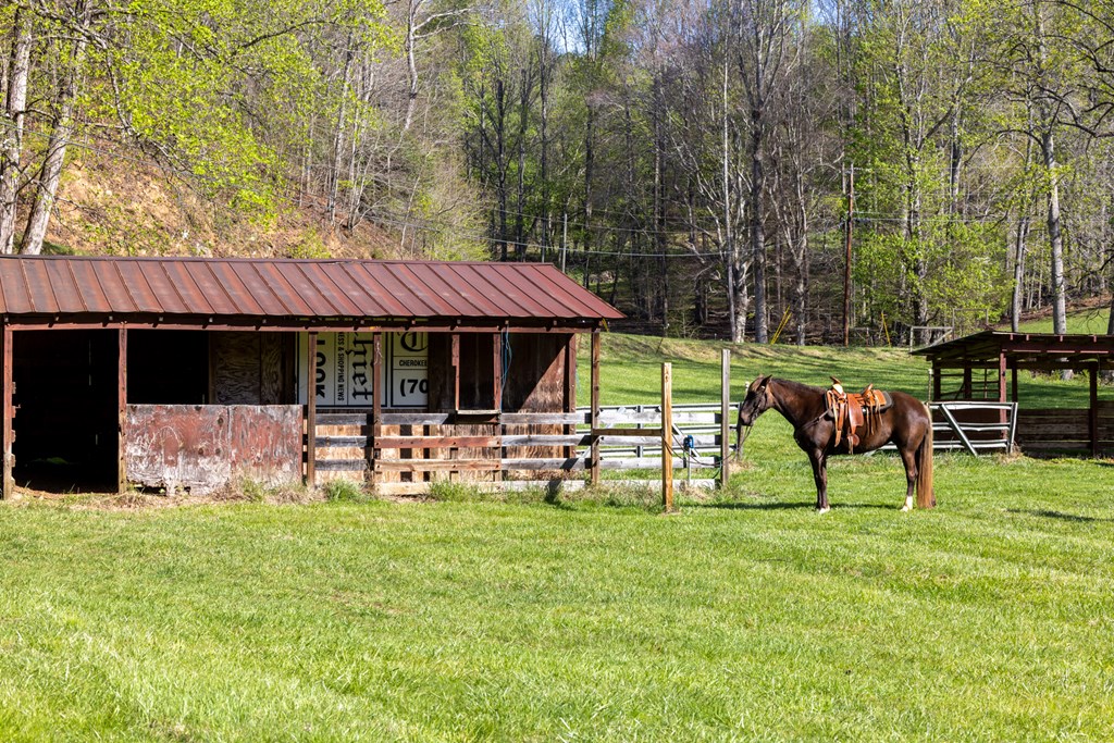853 Caler Road Brasstown, NC 28902 - Photo 110 of 122
