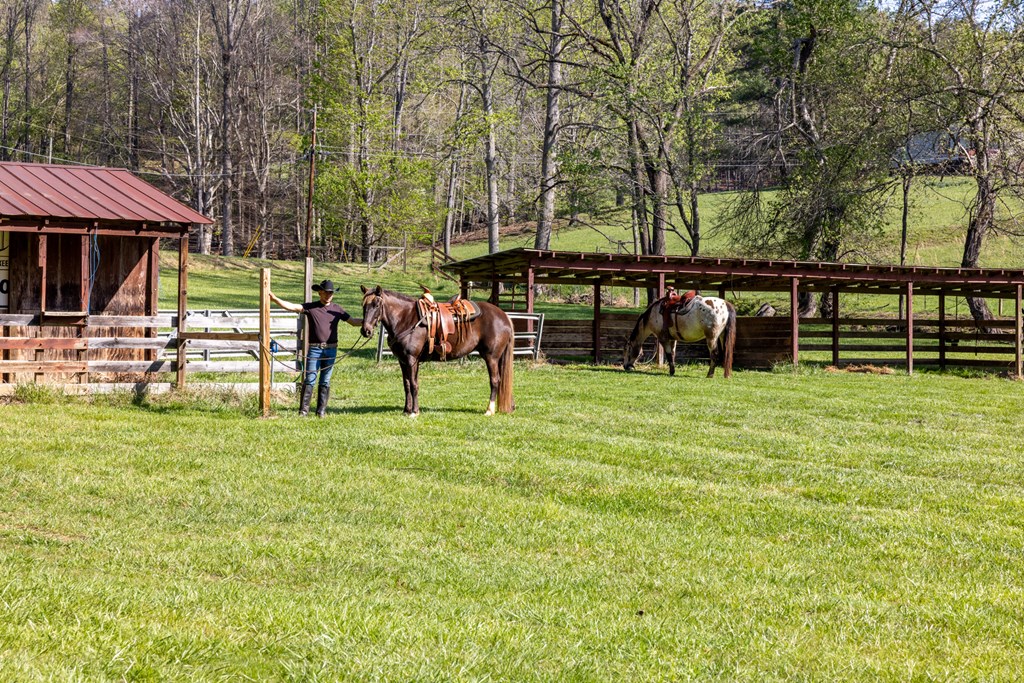 853 Caler Road Brasstown, NC 28902 - Photo 111 of 122