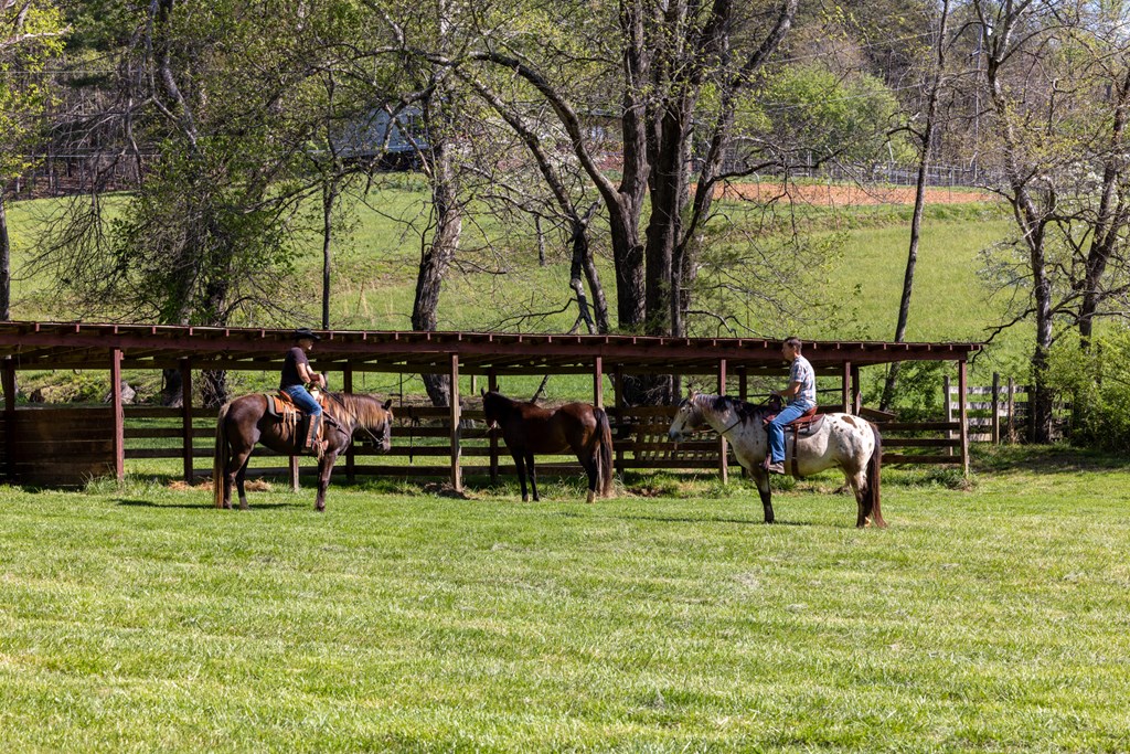 853 Caler Road Brasstown, NC 28902 - Photo 113 of 122