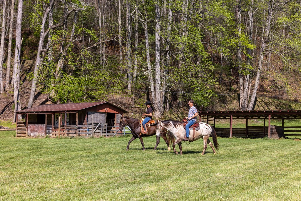 853 Caler Road Brasstown, NC 28902 - Photo 114 of 122