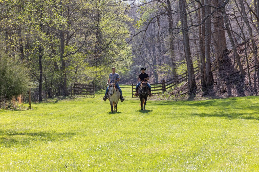 853 Caler Road Brasstown, NC 28902 - Photo 116 of 122