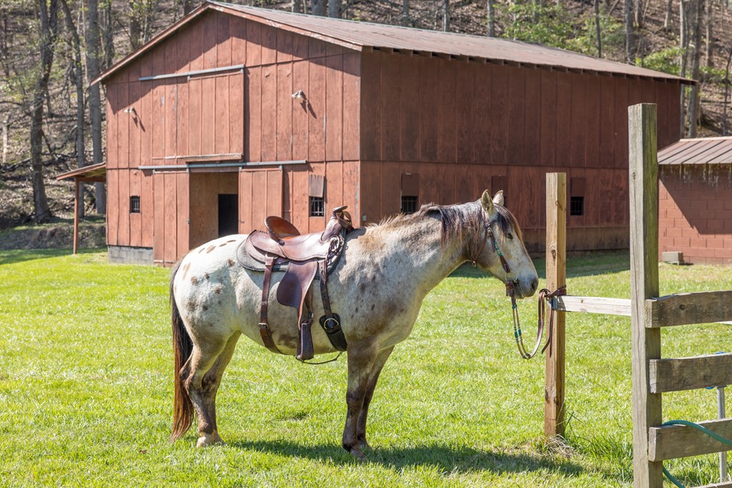 853 Caler Road Brasstown, NC 28902 - Photo 117 of 122