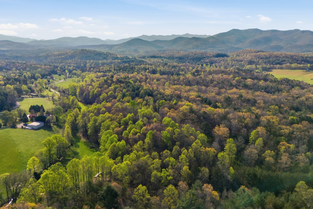 853 Caler Road Brasstown, NC 28902 - Photo 119 of 122