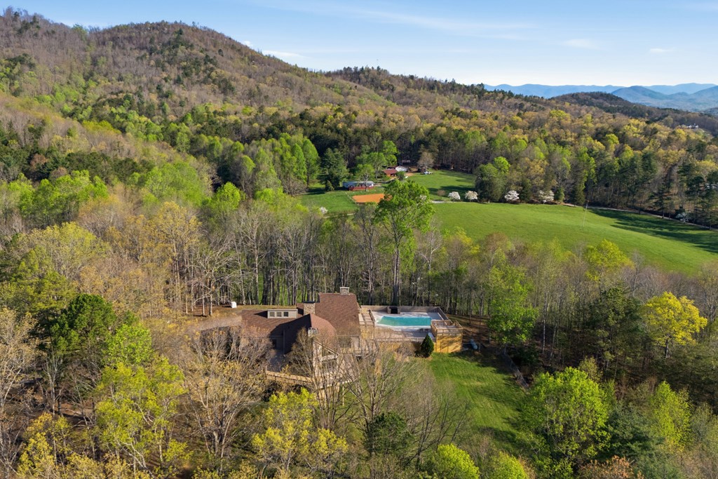 853 Caler Road Brasstown, NC 28902 - Photo 12 of 122