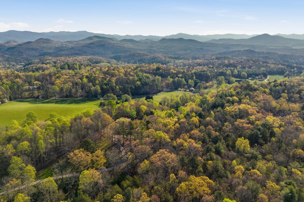 853 Caler Road Brasstown, NC 28902 - Photo 122 of 122