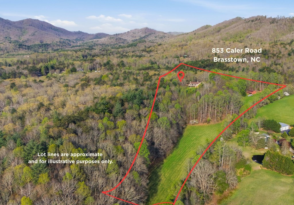 853 Caler Road Brasstown, NC 28902 - Photo 13 of 122