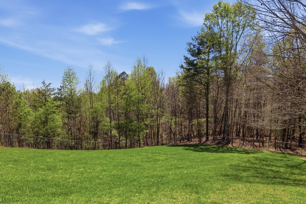 853 Caler Road Brasstown, NC 28902 - Photo 79 of 122