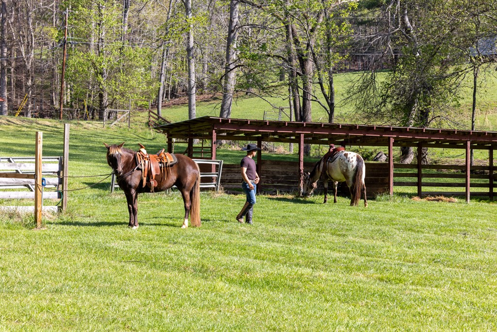 853 Caler Road Brasstown, NC 28902 - Photo 9 of 122