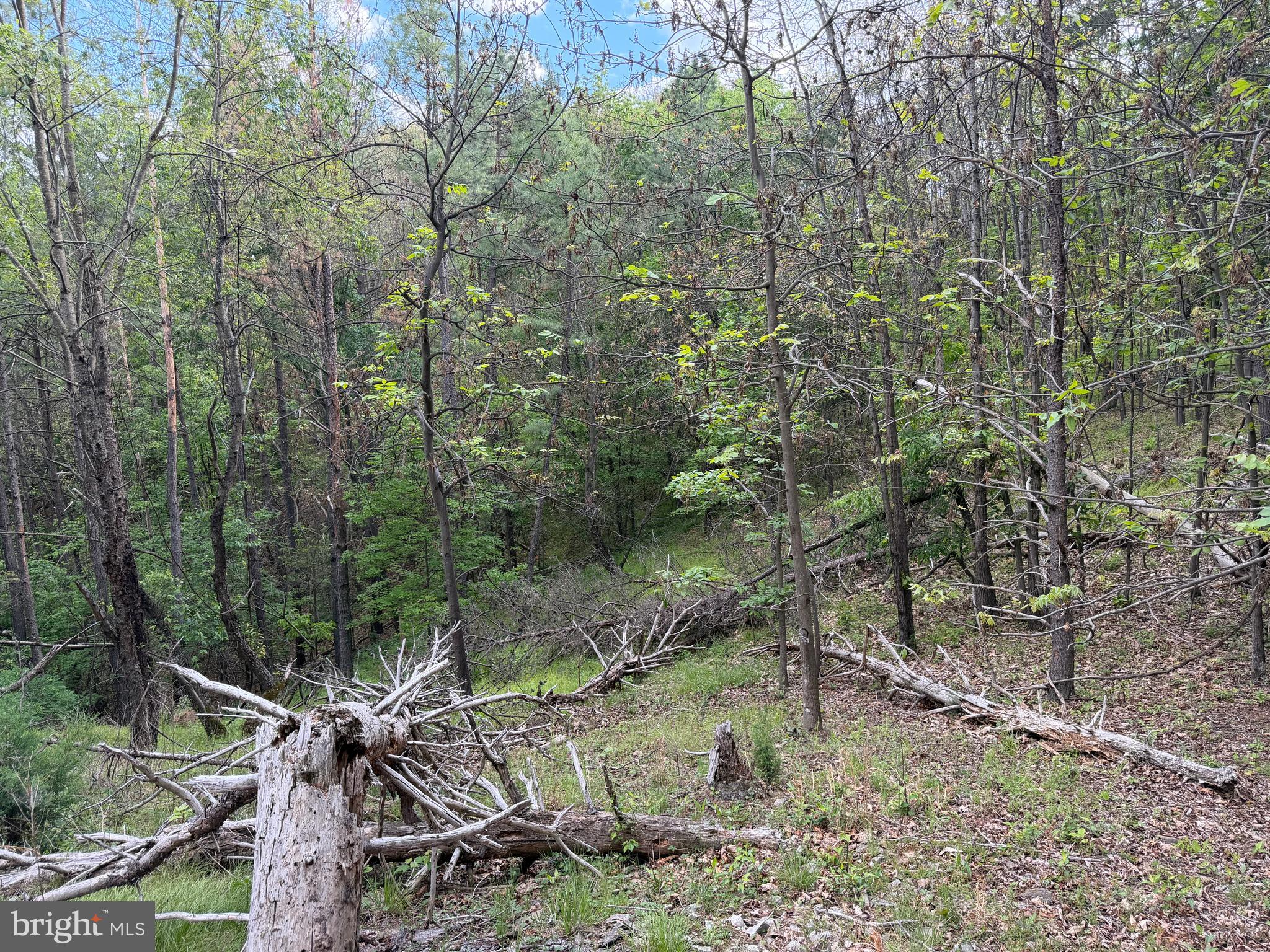 Green Ridge Dr Green Spring Springfield, WV 26763 - Photo 27 of 36