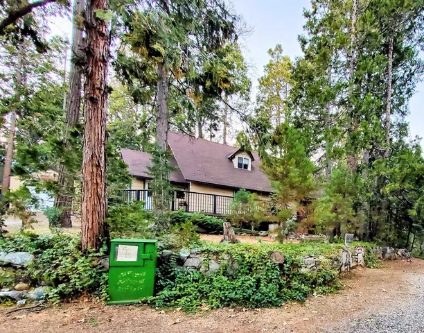 a view of a water with large trees
