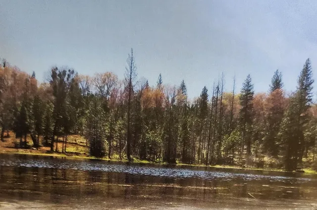 $269,000 | 41693 Corlew Lane, Auberry, CA 93602