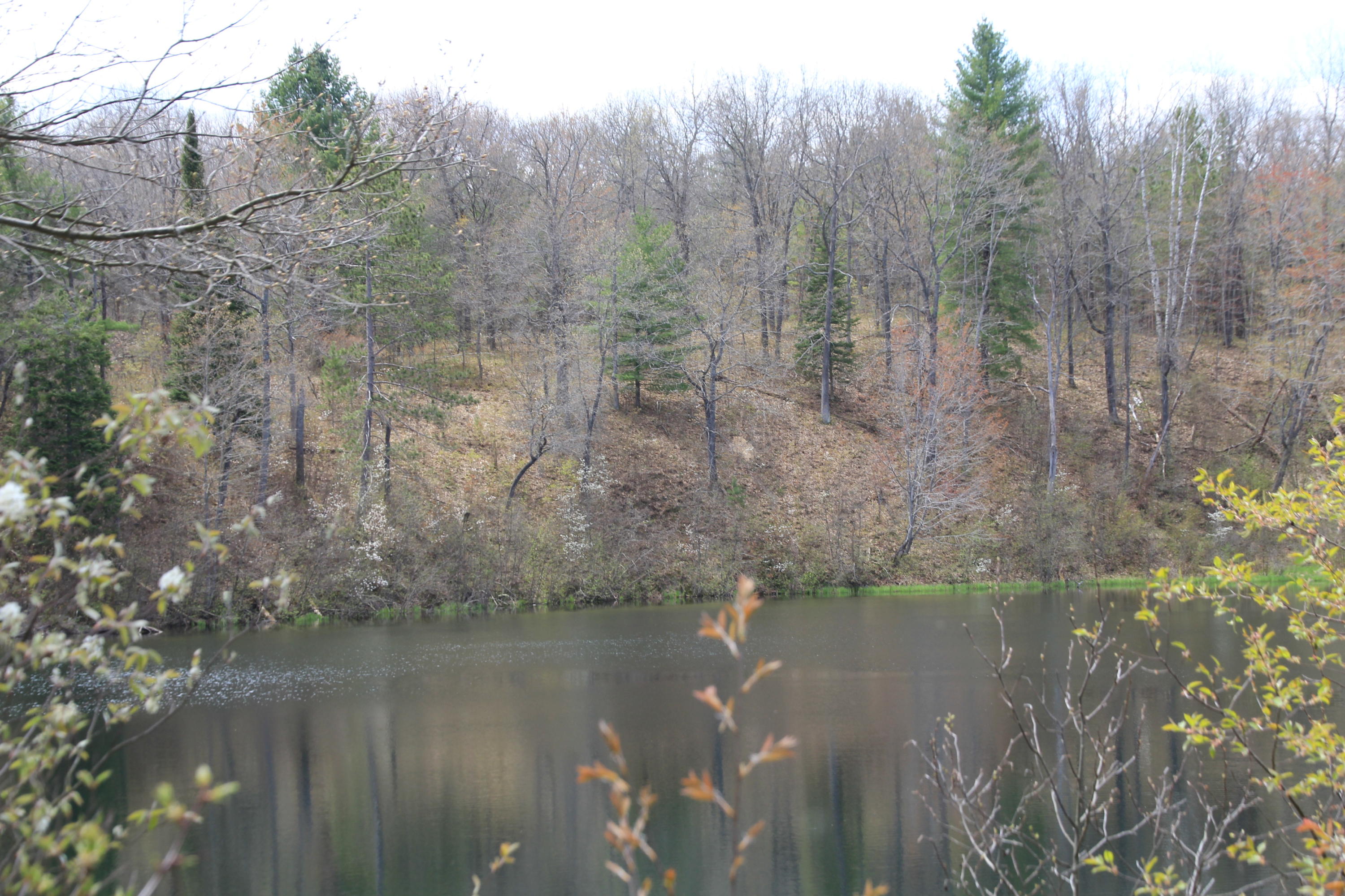 North Skeel Road Curran, MI 48728 - Photo 15 of 36 Gallery Image 15