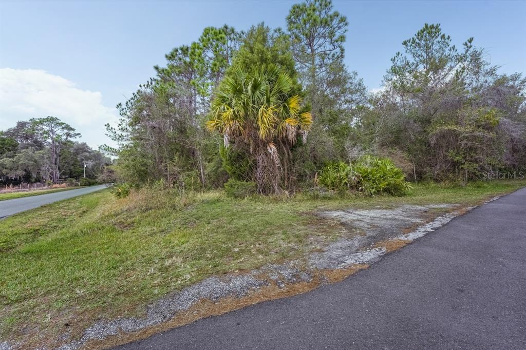 Gold Hill Road Brooksville, FL 34604 - Photo 14 of 25 Gallery Image 14