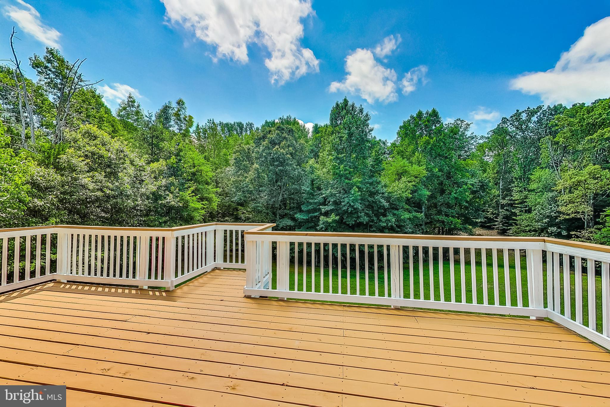 13218 Berthaville Road King George, VA 22485 - Photo 51 of 64