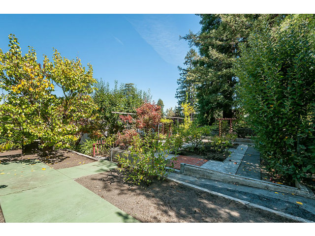 615 Chiltern Road Hillsborough, CA 94010 - Photo 24 of 25 a view of a yard with plants and tree