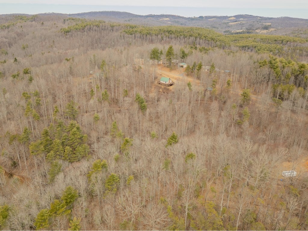 913 Kanawha Ridge Road Dugspur, VA 24325 - Photo 61 of 61 Gallery Image 61