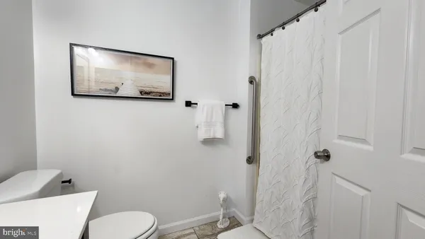 a bathroom with a toilet and a shower curtain
