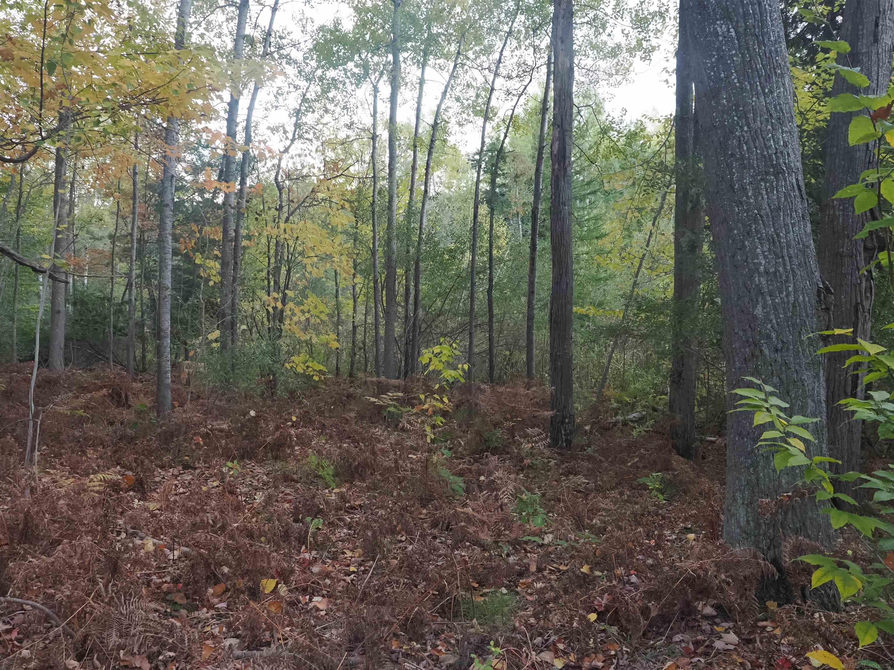 Xxx Tolan Road Spruce, MI 48762 - Photo 66 of 79