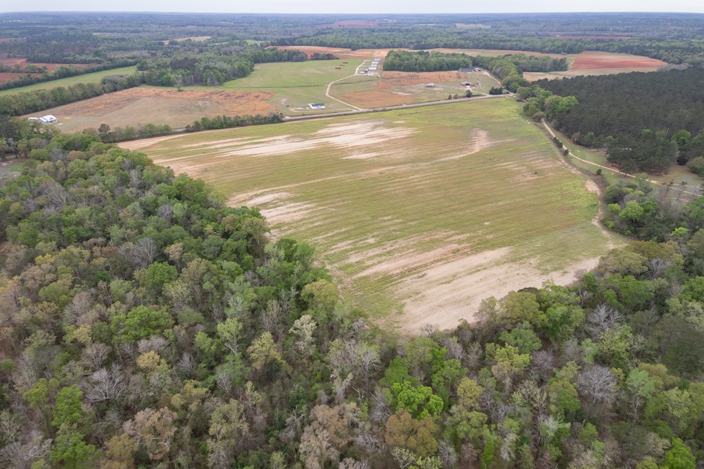 3-acres Singletary Road Slocomb, AL 36375 - Photo 8 of 15