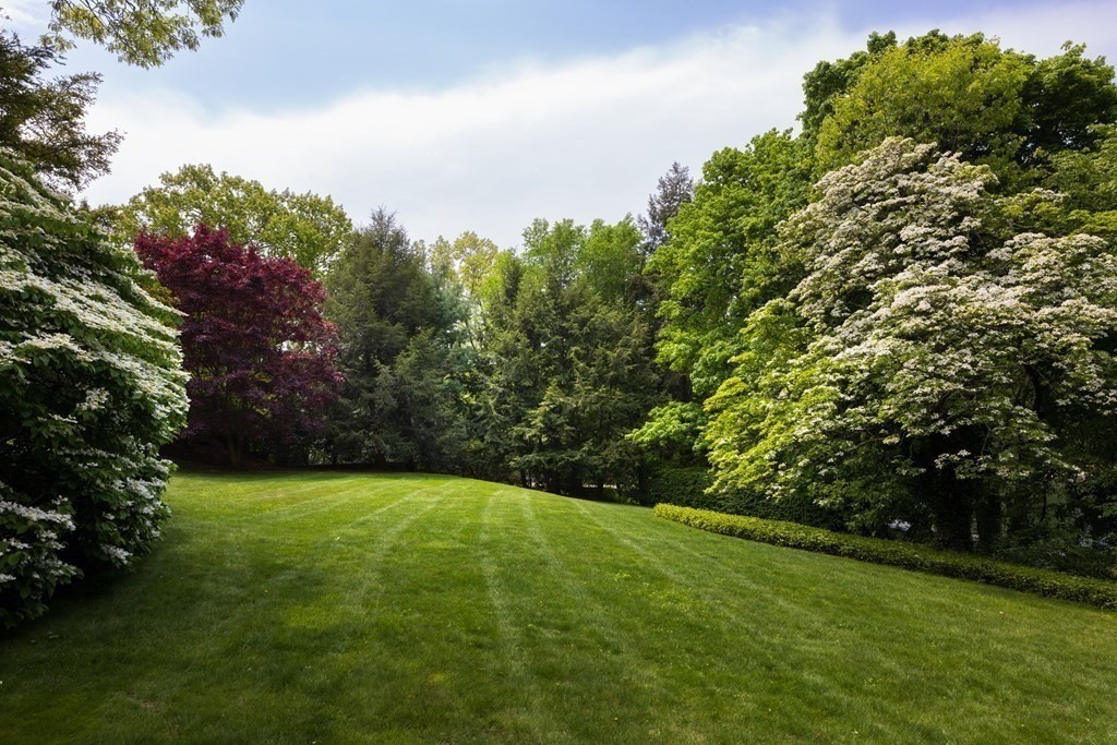 45 Warren Street Brookline, MA 02445 - Photo 19 of 24 Gallery Image 19