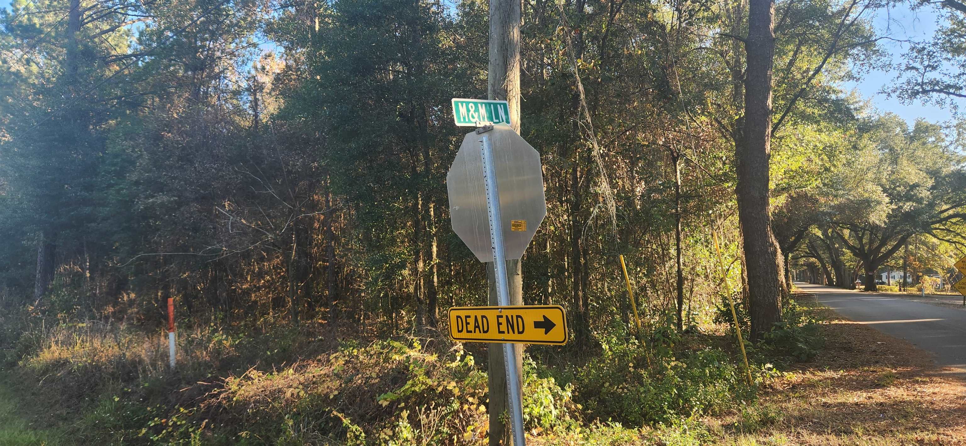 Tbd Hutchinson Ferry Road Quincy, FL 32352 - Photo 2 of 2