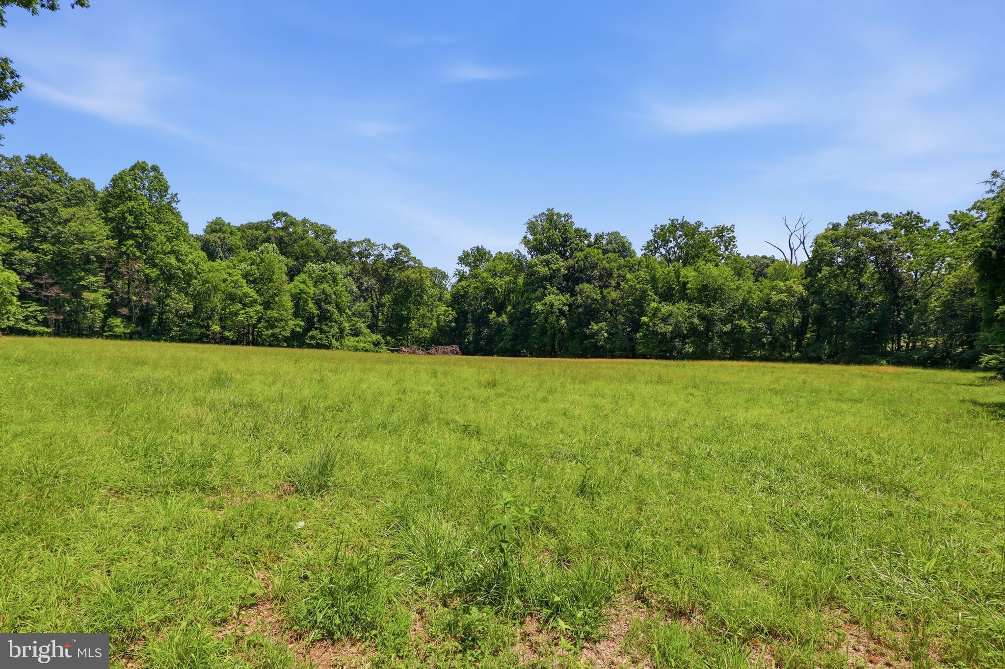3555 Mill Green Road Street, MD 21154 - Photo 78 of 106