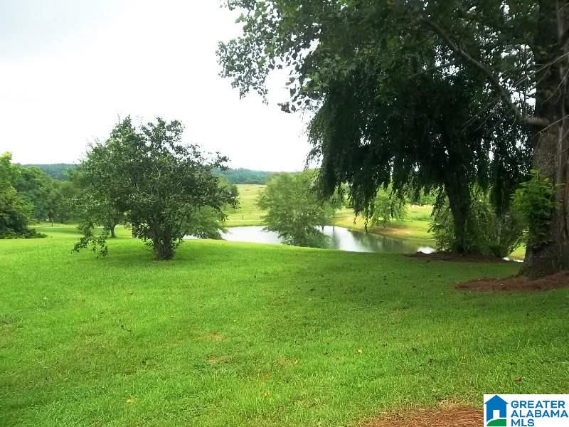 310 Olive Branch Road Ashland, AL 36251 - Photo 5 of 32