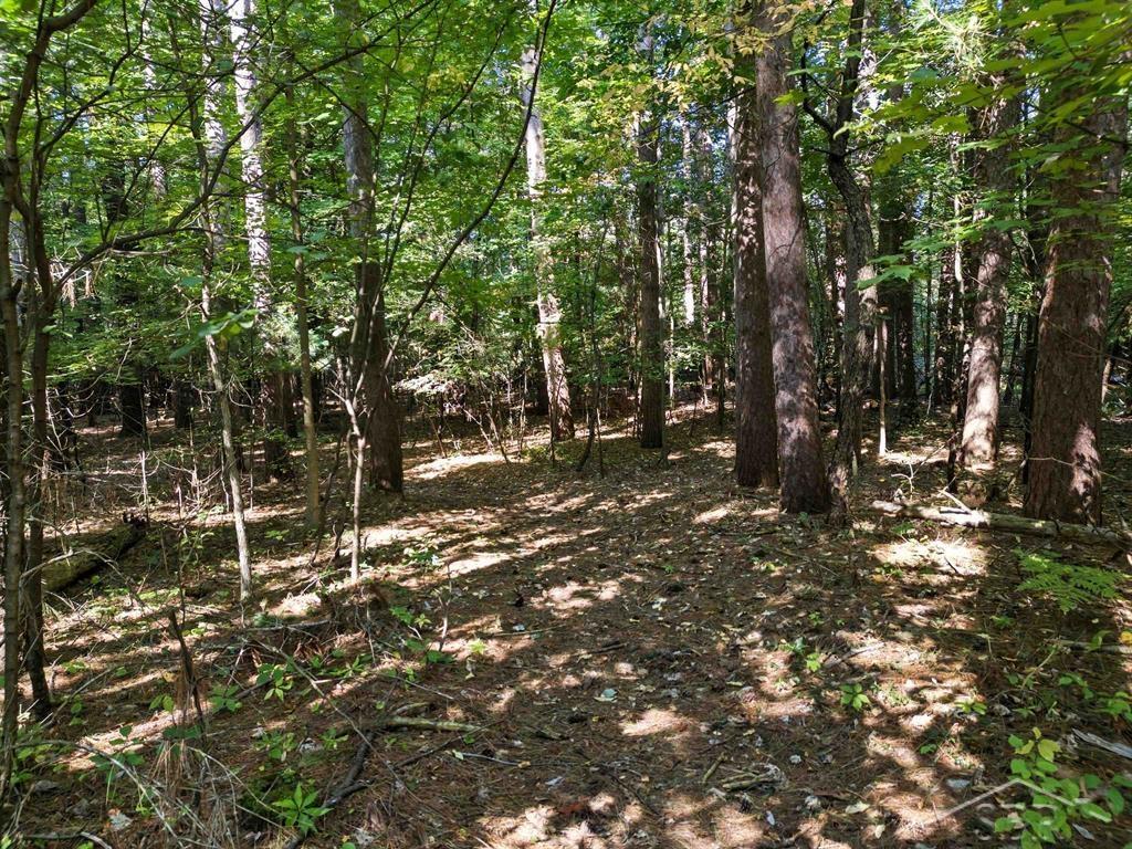Vl Sandy Ridge Drive Hope, MI 48628 - Photo 8 of 12