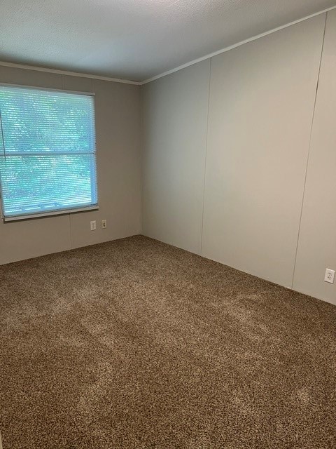 16469 Spring Rain Court Conroe, TX 77302 - Photo 18 of 18