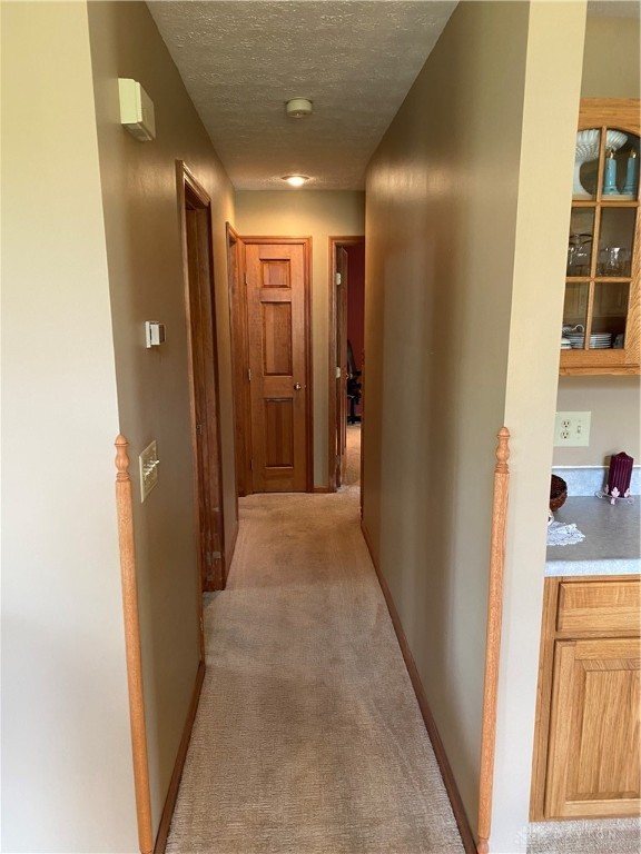 47 Pheasant Run Circle Springboro, OH 45066 - Photo 19 of 42 Gallery Image 19