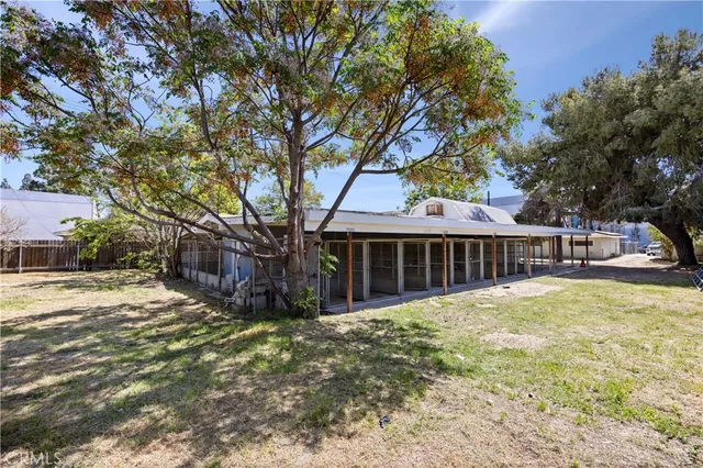 a view of a yard with an tree