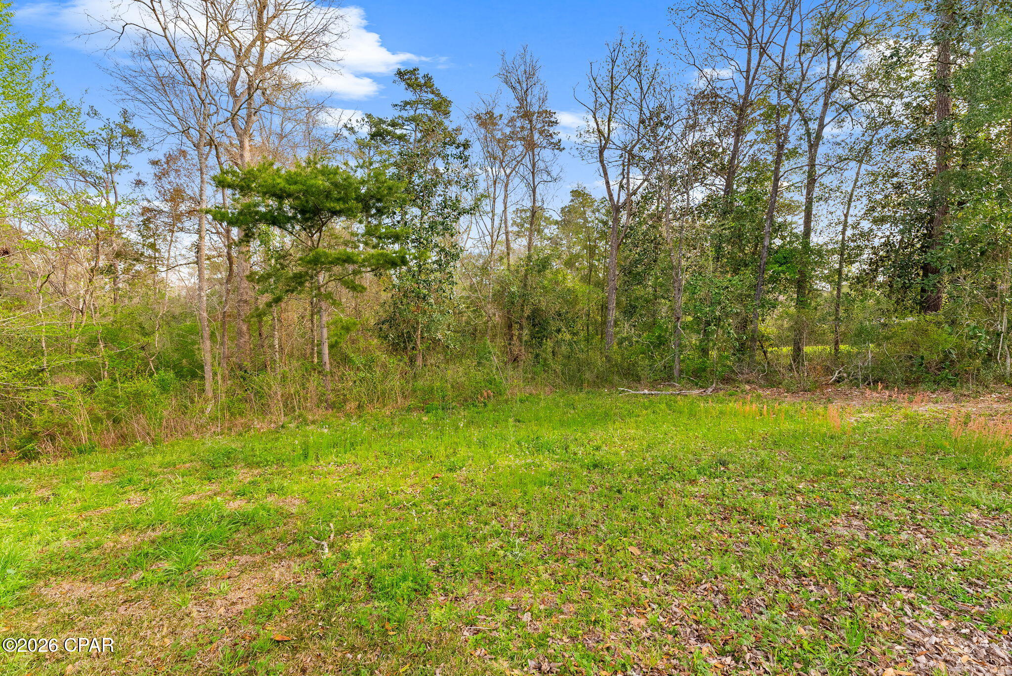 3426 Spool Mill Road Vernon, FL 32462 - Photo 33 of 33