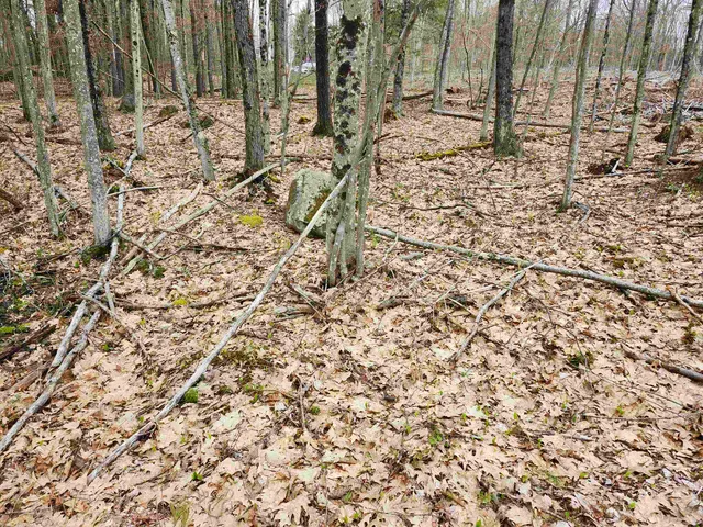 $1,100,000 | 370 Shaker Road, Concord, NH 03301