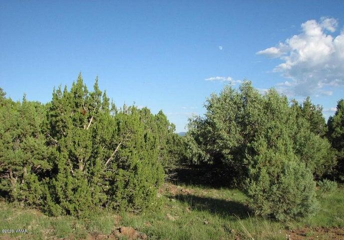 29 T14n R17e: Parcel 6 Creek Heber, AZ 85928 - Photo 5 of 7