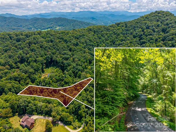 a view of a yard with plants
