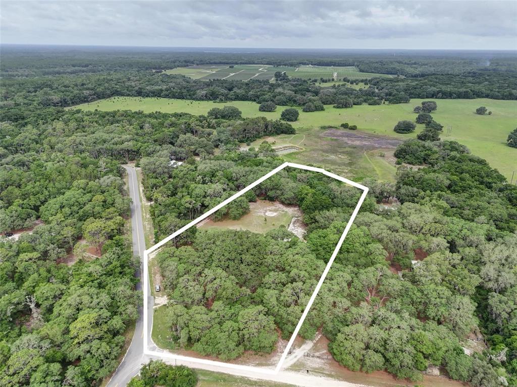 156 Kingfish Road Pomona Park, FL 32181 - Photo 54 of 55 an aerial view of a residential houses with outdoor space and trees