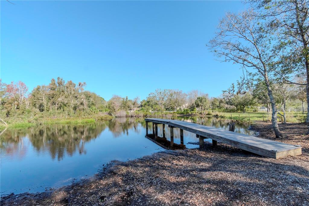 9250 Rhea Drive Odessa, FL 33556 - Photo 56 of 67 Gallery Image 56