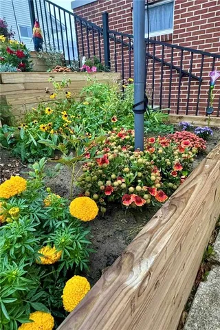 a view of a flower in a yard