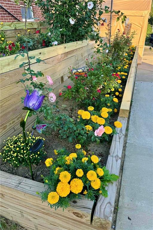 311 Elm Street Vandergrift, PA 15690 - Photo 44 of 47 a view of a flower in a yard