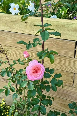 an outdoor space with patio